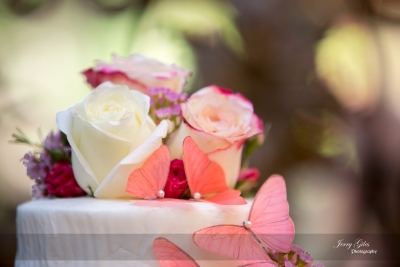 Jerry Giles Photography Details-124