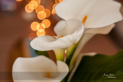 Jerry Giles Photography Details-20