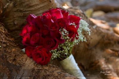 Jerry Giles Photography Details-47