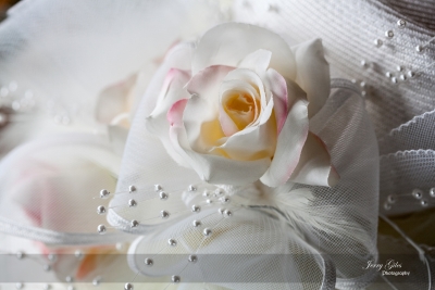 Jerry Giles Photography Details-61