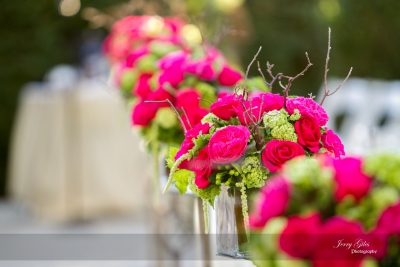 Jerry Giles Photography Details-84