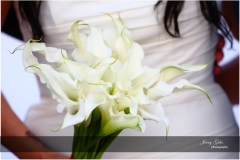 Jerry-Giles-Photography-008