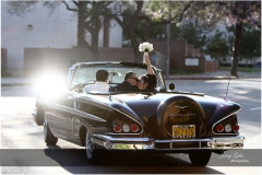 Jerry-Giles-Photography-015