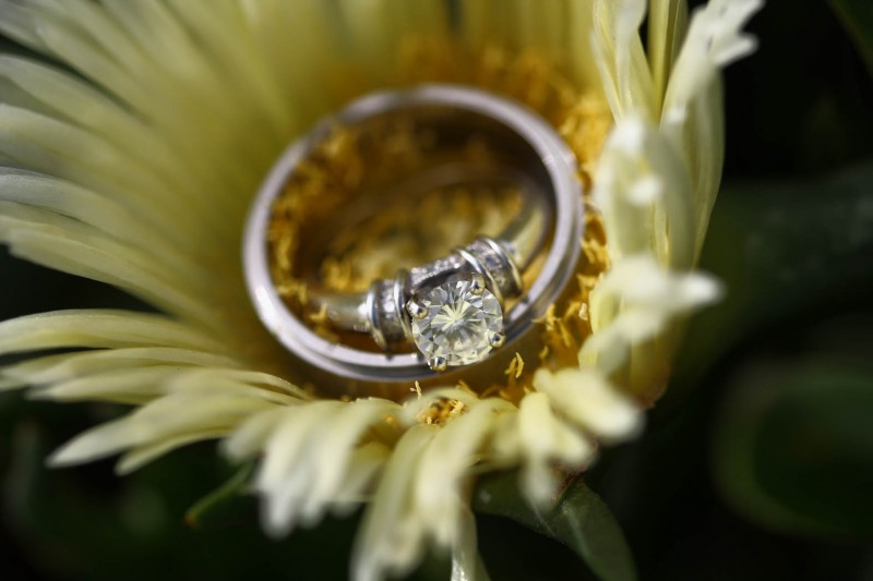 Wedding ring photography_0056